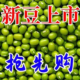 5��؛�G��ԭ�ϾG����|���G���G�����������Ƥ���r�����l
