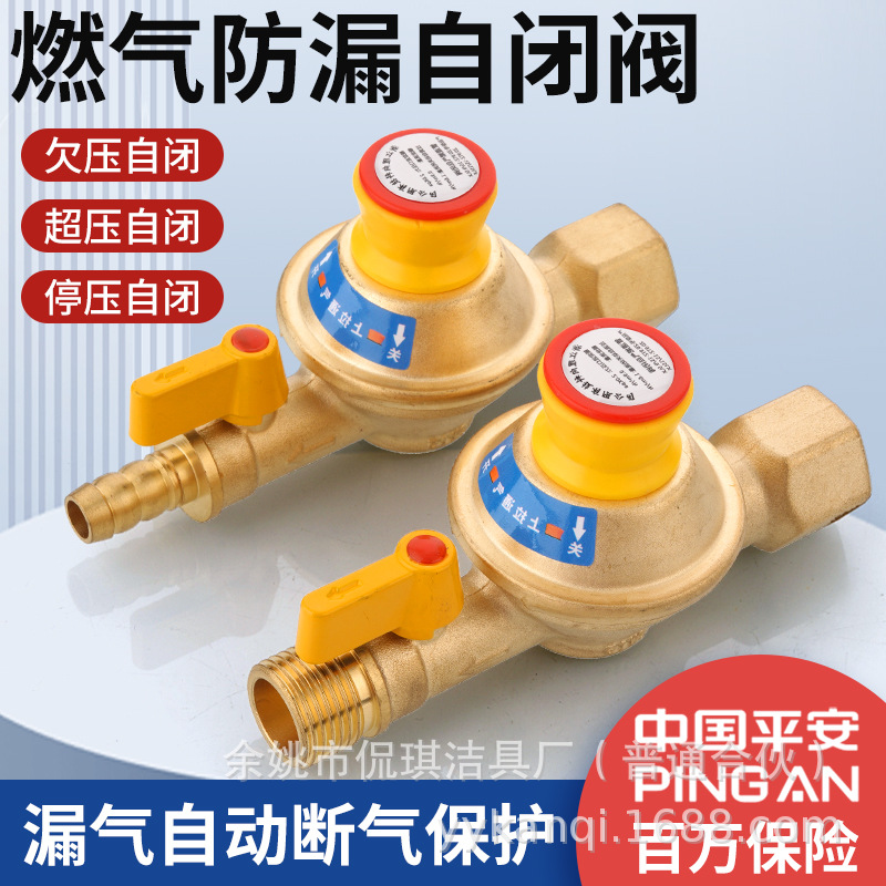 天燃气安全阀自动切断阀家用天然气管道燃气安全自闭阀