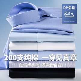 【严选】高端商务男装职业衬衫200支四股鲁泰纯棉免烫衬衫男长袖