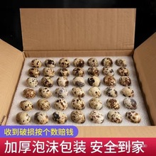 ���r�g���������Gɫ�s�Z���r���ЋD�����oʳ�g�������B���r�g����