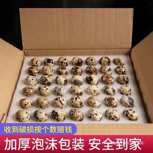 ���r�g���������Gɫ�s�Z���r���ЋD�����oʳ�g�������B���r�g����