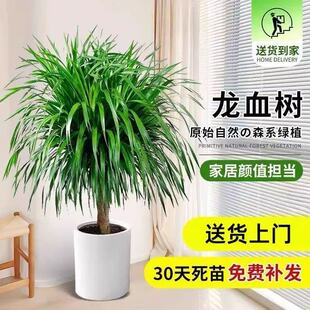 ��Ѫ�������k���҃ȴ��Ϳ͏d���F����լ�Gֲ����Ϙ���������횘�