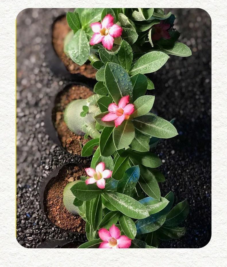 a78407d8-712f-4066-af74-dab66d583a49.jpe