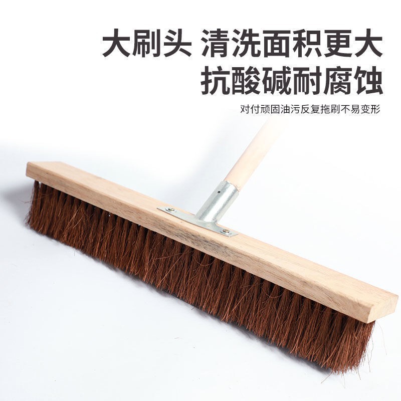 長い柄のヒキガエルのブラシは硬質にブラシをかけます。|undefined