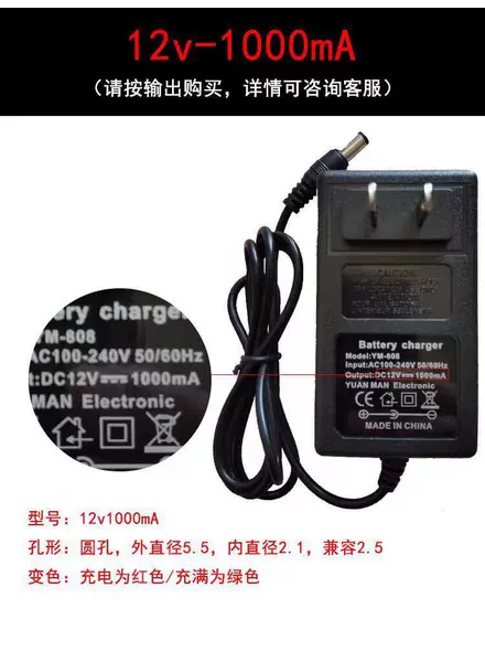 12V1000mA