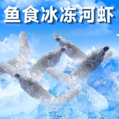 新鲜去枪去刺去尾冷冻虾河虾冷冻虾喂鱼饲料冻虾冰冻龙鱼专用鱼食