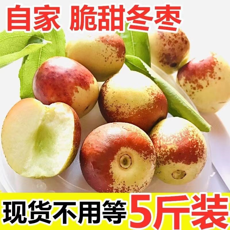 Jujube Shaanxi Dali Jujube Dates Jujube Season fresh fruit Jujube wholesale