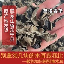 东北黑木耳特产东宁干木耳小碗耳秋木耳干货散装批发新货无根