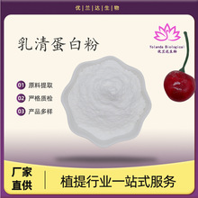 ���嵰�׷�80% Ũ��ԭ�����嵰�׷� ʳƷ������� �����Ż��ֻ�