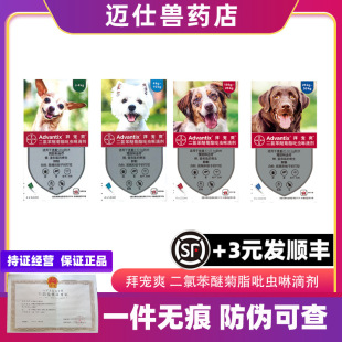 Bayer Ai Walker, Bai Chong Shuang, Bai Chong Qing, Ear Mites and Scabies Mites for Dogs and Cats, Internal and External Deworming Drops for Pets
