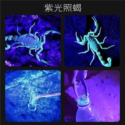 UV fənərlər Scorpion Lamp UV Curing Lamp