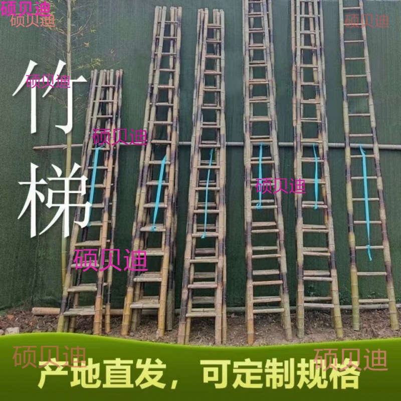 Timi Bamboo 特価米はしご平屋電気工学ストレートはしご米田舎竹はしご幼稚園家庭用ストレートはしご|undefined