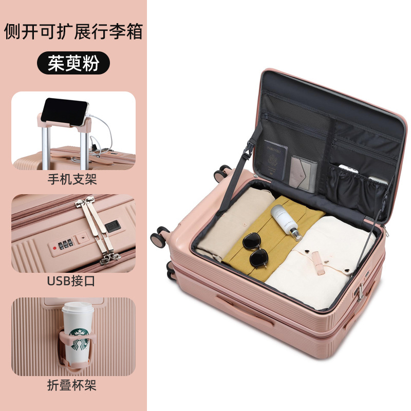 산수유 분말