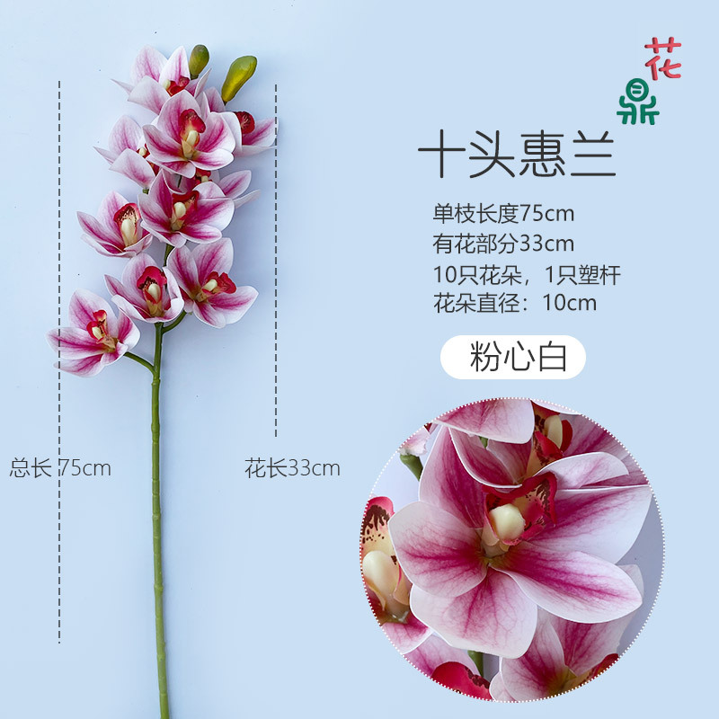 10 머리 Huilan 핑크 하트 화이트