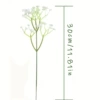 White-30 flowers