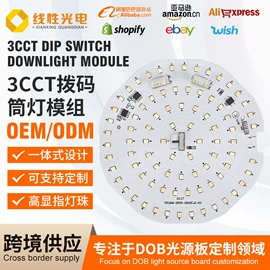 其他LED光源;其他室内灯具;LED球泡灯