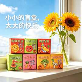 儿童种植盆栽小盲盒网红创意绿植小种子幼儿园观察培育植物小礼品