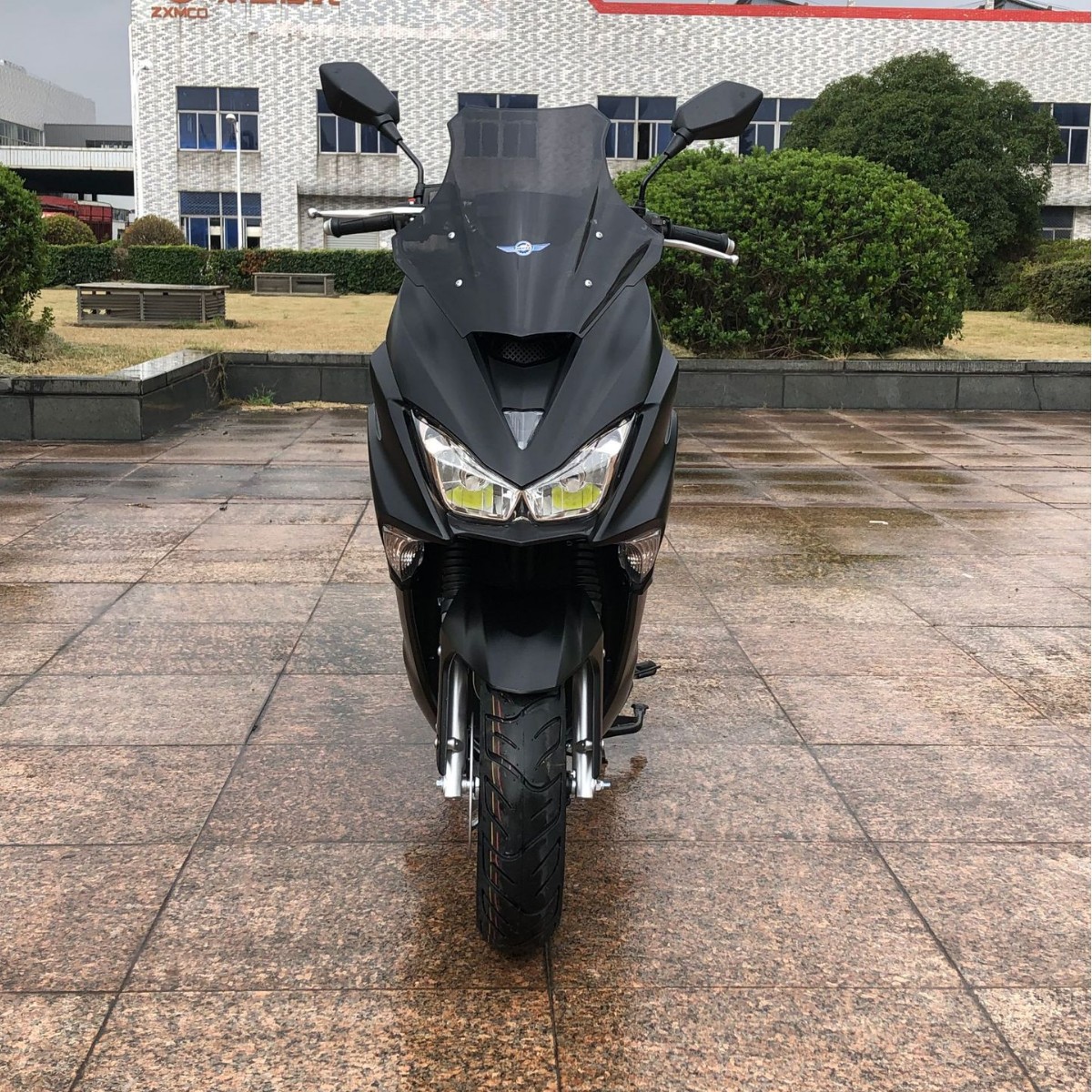 Exportación de comercio exterior 150 pedales de motocicleta Lion Roar 2024 asistido de combustible para adultos motocicleta de dos ruedas