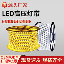 led高压灯带220v户外家装吊顶氛围插头室外防水工程照明智能灯带