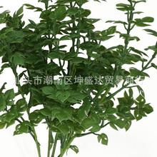����ֲ��5�^�R�m�� �廨����ҾӾGɫ�����b�С���[����c����