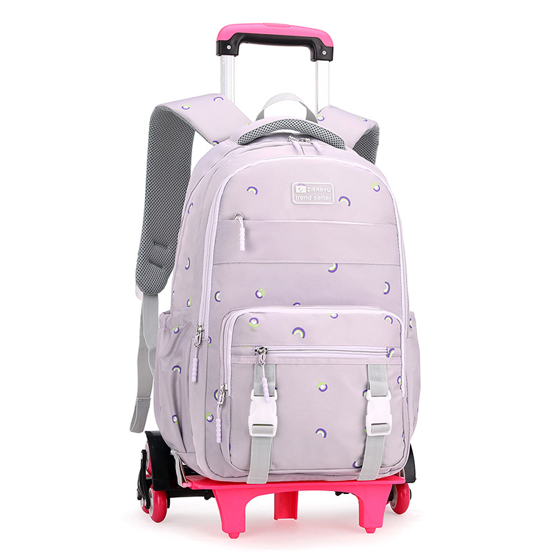 Venta caliente transfronteriza Carro de pescado natural mochila de las mujeres de seis ruedas de gran rueda de escalera de una sola pieza de entrega imprimible LOGO