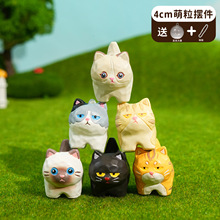 4CMСŤ��ľ���Lվ��؈؈ϵ��耳׿ۄ����֬�[��܇�d�����b�Ʒ