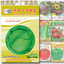 約300粒京豐一號甘藍種子 扁圓包菜卷心菜椰菜洋白菜蔬菜種子批發