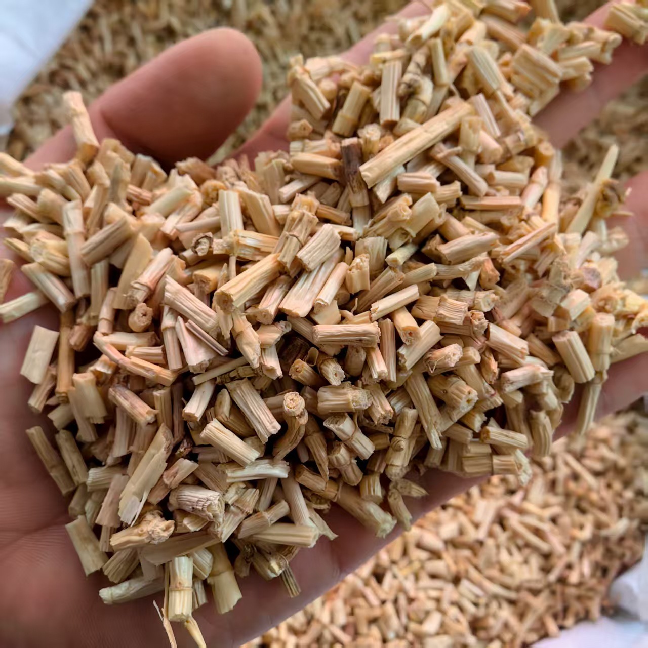 Dried Bai Mao Gen White Grass Root 500g Natural Sun Dried Herb for Decoction and Herbal Tea quality and texture