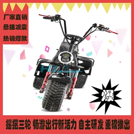 其他电动车;其他摩托车;传动链