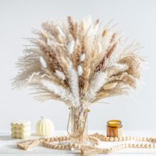 ��Ϲ�����β��С�JȔ������˹�������DIY�Ҿ��b�