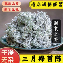 三月茵陈中药材棉茵陈新鲜晒干茵陈茵陈茵陈草茵陈茶茵陈蒿汤茵陈