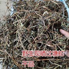 500克现晒过塘蛇 新鲜黄花过江龙过江藤现采材干货批发真货好货