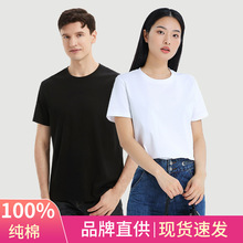 100%棉白色男士短袖上衣体恤打底衫男女丝光棉春夏新款圆领t恤