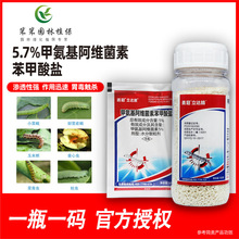 �¹ڼ׾S�}���x�����߻��ܚ��x��ʳ���x���ҹ�����xë�x���~��ș