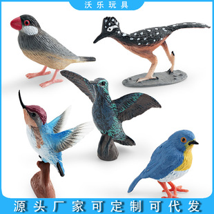 �羳��ͯ�J֪�������N���B���B֪���BҰ���w���B���[��ģ��