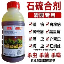 ���ٷ���Ʒ��ʯ��τ�������������@����������O����@ș�r��