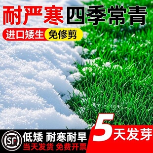 ��ƺ�����ͺ��o�¹���������������̺��ͥԺ�G������é�����ݷN��