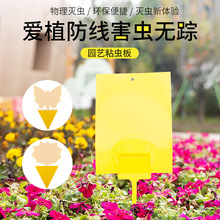 �S���p��ճ�x���T�x���N����С�w�xմ��ω�T�������@�����nω����