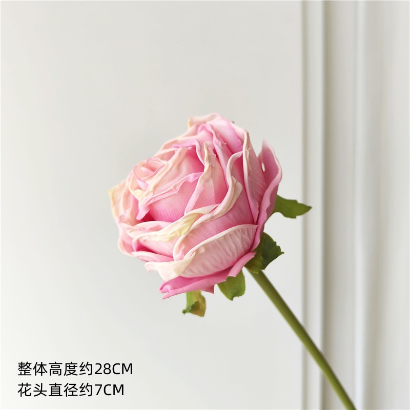 핑크 보라색 마른 구운 작은 장미