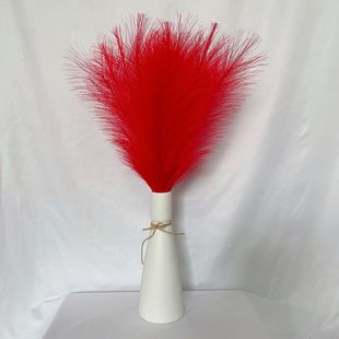 ����˹��55cm ���Wins�b� pampas grass ������Ȕ �����JȔ