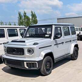 新款豪华电动四轮车油电两用全封闭式新能源家用低速代步车