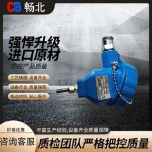 炉温热电偶快速响应精准温度监测 高温1300℃工业炉燃烧测温探头