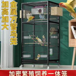 �B�\�Ӵ�̖����̖�����B�e�����ú����W�^�\���P�˸緱ֳ�����B�\