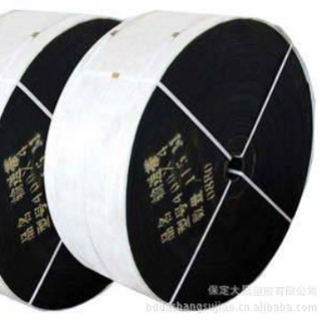 厂家直销耐寒耐热耐高温耐酸碱多种规格特种优质橡胶输送带