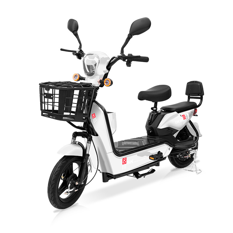 Bicicleta Eléctrica Golden Eagle para Comercio Exterior al por Mayor, Scooter Eléctrico para Adultos de Dos Plazas, Vehículo Eléctrico Ligero de Dos Ruedas con Batería de Larga Duración.