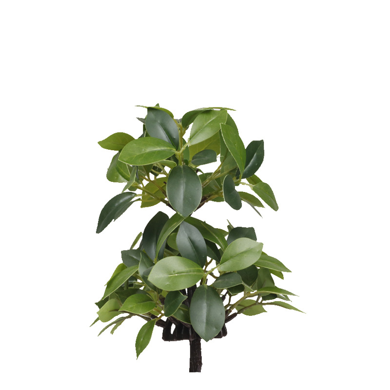 XRS-158 迷你榕叶6号盆栽154叶.jpg