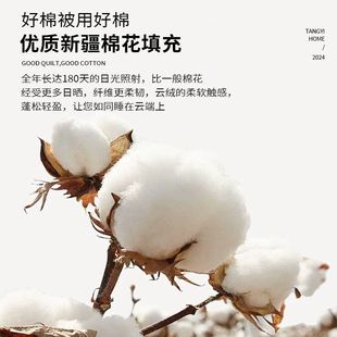 Nanjiren Xinjiang Cotton Summer Quilt for Home Bedroom, New Single Spring and Autumn Quilt, Dormitory Air Conditioning Quilt, Suitable for All Seasons