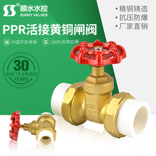 铜阀门厂家玉环PPR活接闸阀 升降式闸阀 闸门 表前闸阀门热熔闸阀-阿里巴巴