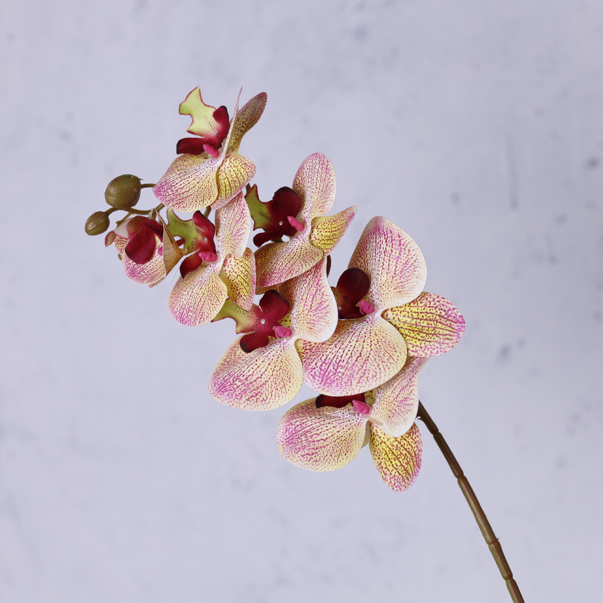 Impresión 3D de 7 cabezas de orquídeas mariposa flor de decoración de flores de alto nivel flor de nicho decoración floral decoración de sala de estar