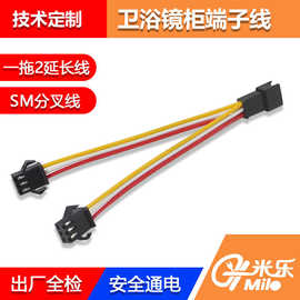智能镜端子线sm2.54一拖2公母浴室镜连接线led照明SM3位端子线